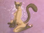  2010 alaitallon breasts cat feline female nude siamese side_boob solo tail 