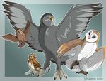  barn_owl beak bird digger_(ga&#039;hoole) digger_(ga'hoole) feral guardians_of_ga&#039;hoole guardians_of_ga'hoole gylfie ignigeno owl soren talons twilight_(ga&#039;hoole) twilight_(ga'hoole) 