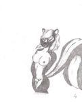  breasts butt countershading female hair looking_at_viewer nipples nude piercing pussy raised_tail skunk solo tail unknown_artist vaginal 