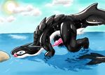  dragon feral male mammal marine orca ozoneserpent penis solo tail water whale 