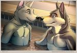  anthro black_nose blue_eyes canine dog duo eye_contact fur gay green_eyes grey_fur keto male mammal muscles nose_to_nose pecs pool side_view smile water wet white_fur wolf 