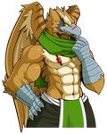  amber_eyes avian bird feathers hawk male muscles plain_background scarf solo transparent_background unknown_artist wings 