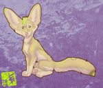  2010 canine coyote female fennec feral feralityillustration fox hybrid solo 