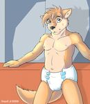 2009 blush bottomless canine cub diaper dog grey_eyes greyolfdl infantilism looking_at_viewer male solo tail topless 