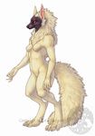  black_nose breasts canine female fox katie_hofgard nude red_eyes solo standing white_background 