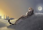  breasts butt cheetah feline female grass lying moon myenia nude photorealism skyline solo spots sunset tail 