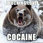  cocaine contraband drugs english_text fangs feral humor illegal_drugs image_macro lol lulz mammal meme narcotics not_anthropomorphic not_furry real snow text unknown_artist 