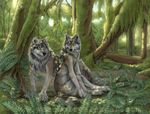  ambiguous_gender canine claws couple digitigrade ear_tufts forest rayndancer sitting tail tree watermark wolf yellow_eyes 