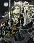  alucard_(castlevania) blonde_hair canine castlevania cr_watari hair long_hair long_white_hair moon night solo standing sword video_games weapon white_hair whitestanding wolf 