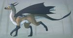  2010 digitigrade dragon drakawa feral horns male solo tail wings yellow_eyes 