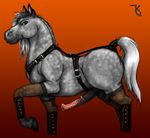  equine erection feral harness horse horsecock leather male penis redrevolution solo stallion 
