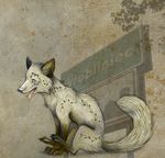  arctic_fox canine cute feral fox open_mouth poland skia solo tendrils tongue white wr&oacute;bliniec 