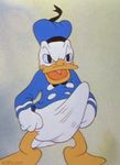  donald_duck tagme 