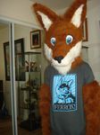  canine fox fursuit real tagme 