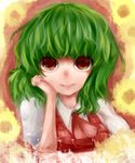  ascot green_hair hand_on_own_face highres kazami_yuuka labo. messy_hair plaid plaid_vest red_eyes short_hair smile solo touhou upper_body vest 