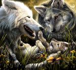  2008 anklet blue_eyes canine claws colored cub ear_tufts feral fine_art flowers hair jewelry looking_at_each_other mystic necklace novawuff on_back open_mouth outside photorealism trio werewolf whiskers wolf yellow_eyes 