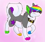  blondefoxy canine collar colorful cute dog eyes_closed feral husky rainbow solo sparkledog 