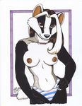  2002 absurd_res badger breasts brown_eyes female hi_res necklace panties solo stripey terrie_smith topless underwear 