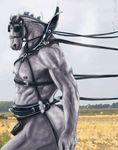  anthro bdsm belt biceps bondage bondage_gear bound braids butt equine farm fur hair harness horse leather male mammal mane muscles nipples nude outside pecs penis ponyplay pose sheath sky solo standing trogan vein 