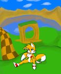  blue_eyes breasts canine cleavage clouds crossgender cute emerald_hill_zone female fox lake lounging mountain norithics outside sky solo sonic_(series) tailsko 