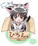  blush box box_of_cuteness brown_eyes cat_ears chihiro_komiya crossdressing cute female human looking_at_viewer maid maid_uniform male mammal necktie nya open_mouth plain_background shota tie unknown_artist white_background young 