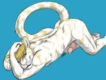  anthro ass_up cum feline looking_at_viewer male mammal muscles nude penis pose raised_tail solo tail unknown_artist 
