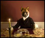  anthro candle canine dog fursuit looking_at_viewer mammal photo qarrezel real table 