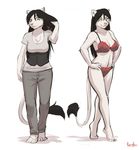  bra breasts cat chest_tuft clothing corset eye_markings feline female fur green_eyes hair kipper(character) kipper0308 lion lioness long_black_hair long_hair mammal meesh tuft underwear 