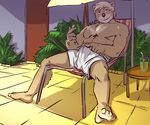  anthro artdecade bear biceps boxers bulge chair erection inviting looking_at_viewer male mammal muscles outside pecs penis pose solo spreading umbrella underwear 