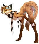  ambiguous_gender canine cassie eyewear female fox goggles invalid_tag kesame mammal nude plain_background scarf solo sullivan white_background 