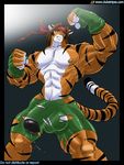  bandanna clubstripes feline fighter gideon gloves green_eyes headband male muscles penis piercing precum ripped shorts solo tiger topless wardrobe_malfunction 