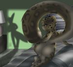  anus bed blue_eyes butt feline female leopard millislim presenting pussy shadow tail unusual_anus_placement 