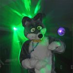  animated canine dancing dog fursuit gif husky rave solo 