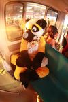  cute fursuit lemur looking_at_viewer male monorail real taxi unknown_artist 
