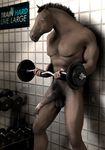  3d equine gym horse iomar male penis solo 