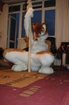  canine crouching dancing dog fursuit looking_at_viewer mammal open_door photo pillow pillows pole pole_dancing real unknown_artist 