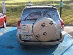  canine mammal ontario real sault_ste._marie toyota_rav4 unknown_artist window wolf 