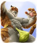  anhes balls bulge feline male muscles penis pose solo tiger trunks underwear wardrobe_malfunction 