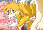  anal anus breasts canine crossgender cum female fox male mobius_unleashed penis pussy sonic_(series) straight tail tailsko 