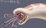  clitoris close-up monster petaro pussy sea_angel shiny slime tentacle translation_request ueno_petarou zanburg 