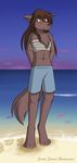  beach brown_hair chest_tuft female hair heterochromia long_brown_hair long_hair natani_(twokinds) navel seaside solo standing tail tom_fischbach twokinds 