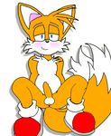 anus balls bigfurry7 blush canine fox looking_at_viewer male miles_prower multiple_tails penis solo sonic_(series) tail tails 
