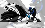  bikini bird blowup_background blue_eyes clothed clothing corvid eyewear female glowing glowing_eyes goggles lying magpie plain_background reclining skimpy solo swimsuit unknown_artist white_background wings 