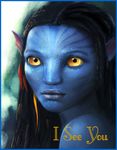  avatar blue_skin i_see_you james_cameron&#039;s_avatar looking_at_viewer na&#039;vi solo yellow_eyes 