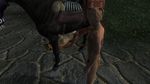  animal anthro_bestiality equine female feral horse interspecies khajiit oblivion_(game) the_elder_scrolls video_games 