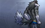  16:9 2009 abstract_background athletic blue_eyes bulge bushy_tail butt calendar canine claws fluffy_tail gradient_background humbuged humplex.com looking_at_viewer male mammal muscles scar simple_background solo speedo standing swimsuit tail undressing wallpaper widescreen wolf zulf 