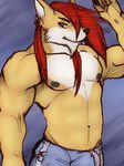  blue_eyes bulge canine cursedmarked hair looking_at_viewer male muscles nipples notveryathletic pose red_hair red_wolf solo standing topless wolf wolf_nanaki 