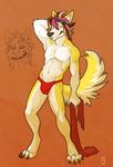  canine dog fur headband husky mammal recca solo speedo swimsuit underwear volvo yellow yellow_eyes yellow_fur 