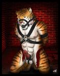  ball_gag bdsm bondage cock_ring feline kneeling male penis precum solo tiger windkid 