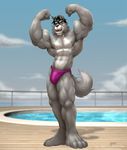  anthro biceps big_muscles blue_eyes boat braford bulge canine clothed clothing fangs flex flexing looking_at_viewer male mammal muscles nipples open_mouth pecs pool pose ship skimpy solo standing thong underwear water were werewolf wolf 